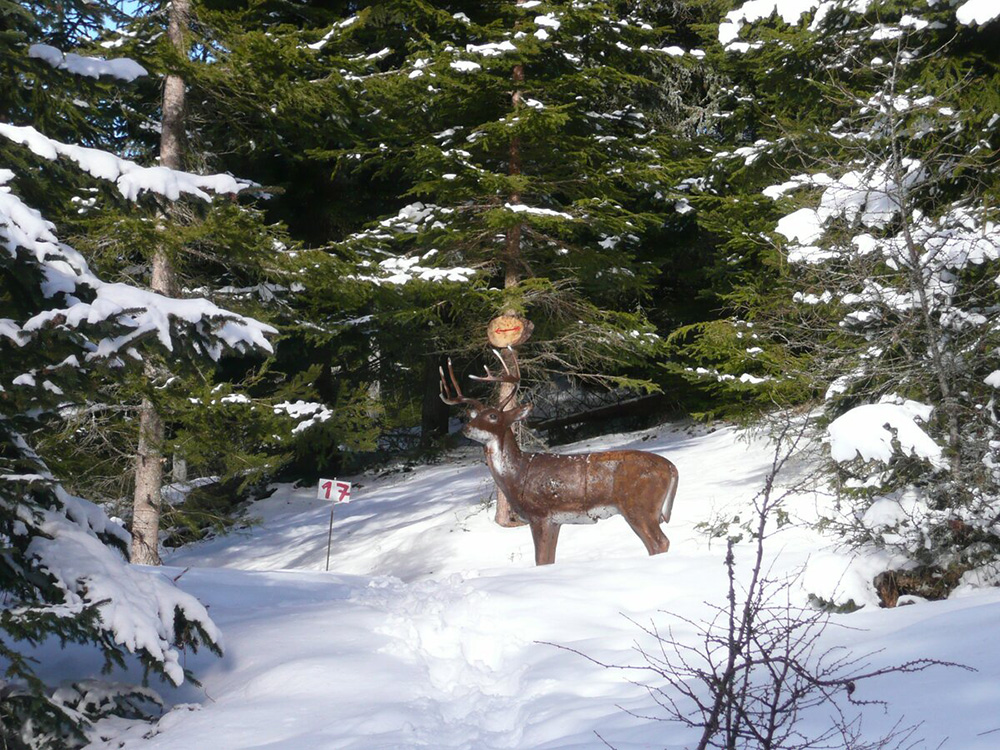 3D Bogenparcours im winterlichen Zirbenwald