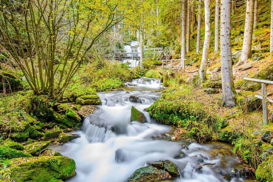 Idyllische Waldlandschaft am Fluss beim Wanderurlaub Steiermark