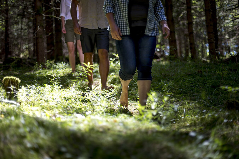 Gruppe beim Waldbaden im Naturpark