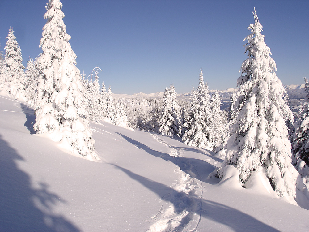 Blick auf die verschneite Natur beim Winterurlaub in Österreich